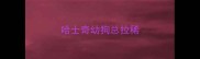 哈士奇幼狗总拉稀