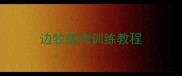 边牧肌肉训练教程