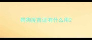 狗狗疫苗证有什么用