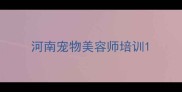 河南宠物美容师培训