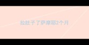 拉肚子了萨摩耶2个月