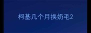 柯基几个月换奶毛