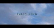 泰迪身上为什么有跳蚤