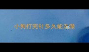 小狗打完针多久能洗澡
