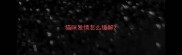 猫咪发情怎么缓解