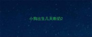 小狗出生几天断奶