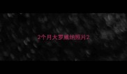 2个月大罗威纳照片