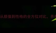 棕色泰迪VS白泰迪从颜值到性格的全方位对比养泰迪必看的选购指南