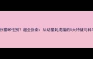 如何区分猫咪性别超全指南从幼猫到成猫的5大特征与科学方法