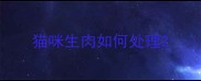 猫咪生肉如何处理