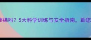 拉布拉多能爬楼梯吗5大科学训练与安全指南助您避免关节损伤