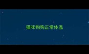 猫咪狗狗正常体温