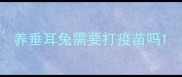 养垂耳兔需要打疫苗吗