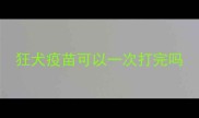 狂犬疫苗可以一次打完吗
