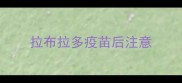 拉布拉多疫苗后注意