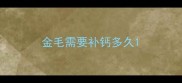 金毛需要补钙多久