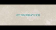 边牧自制狗粮配方便宜