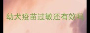 幼犬疫苗过敏还有效吗
