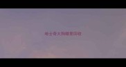 哈士奇大狗哪里回收