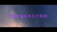 狗狗打疫苗多久才有效
