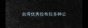 台湾优秀拉布拉多种公
