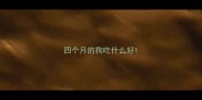 四个月的狗吃什么好