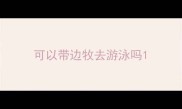 可以带边牧去游泳吗