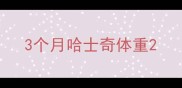 3个月哈士奇体重