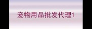 宠物用品批发代理