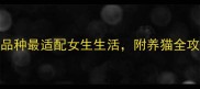 女生必看这8种猫咪品种最适配女生生活附养猫全攻略附品种对比表