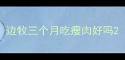 边牧三个月吃瘦肉好吗