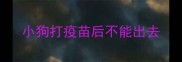 小狗打疫苗后不能出去
