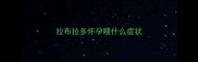 拉布拉多怀孕喂什么症状