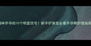 猫咪怀孕的10个明显信号新手铲屎官必看怀孕期护理指南
