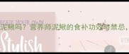 拉布拉多能吃泥鳅吗营养师泥鳅的食补功效与禁忌附健康食谱