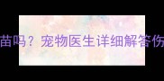 龙猫咬伤后必须打狂犬疫苗吗宠物医生详细解答伤口处理与疫苗接种全流程