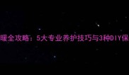 南方冬季小狗保暖全攻略5大专业养护技巧与3种DIY保暖用品制作方法