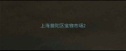 上海普陀区宠物市场