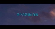 两个月的猫吐猫粮