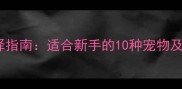 家庭宠物选择指南适合新手的10种宠物及养护全攻略