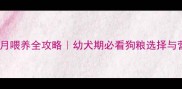 比熊三个月喂养全攻略幼犬期必看狗粮选择与营养指南