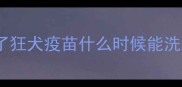 打了狂犬疫苗什么时候能洗澡