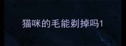 猫咪的毛能剃掉吗