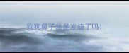 狗狗鼻子热是发烧了吗