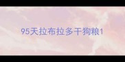 95天拉布拉多干狗粮