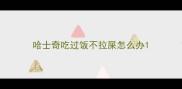 哈士奇吃过饭不拉屎怎么办