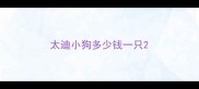 太迪小狗多少钱一只