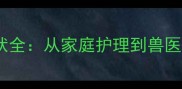 拉布拉多犬咳嗽症状全从家庭护理到兽医治疗的全流程指南