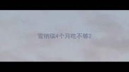 雪纳瑞4个月吃不够