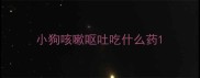 小狗咳嗽呕吐吃什么药